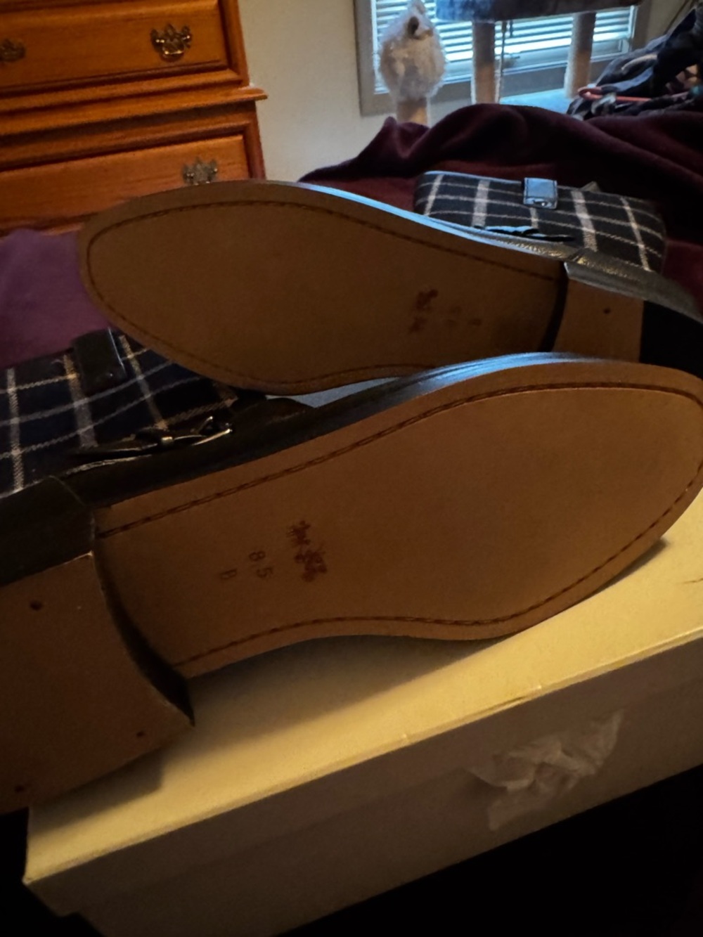 Coach Black/Black-White Mackie Leather & Wool Boots - Picture 2 of 5